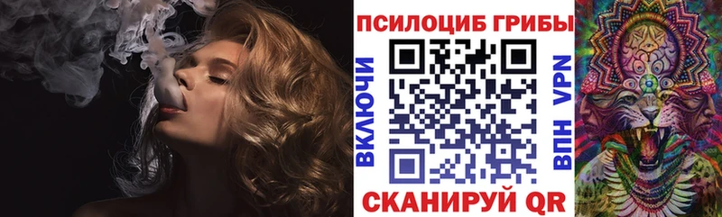 Псилоцибиновые грибы мицелий гидра ссылка Озёрск